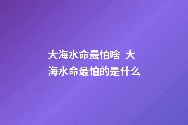 大海水命最怕啥  大海水命最怕的是什么